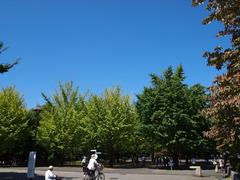 公園での一日①