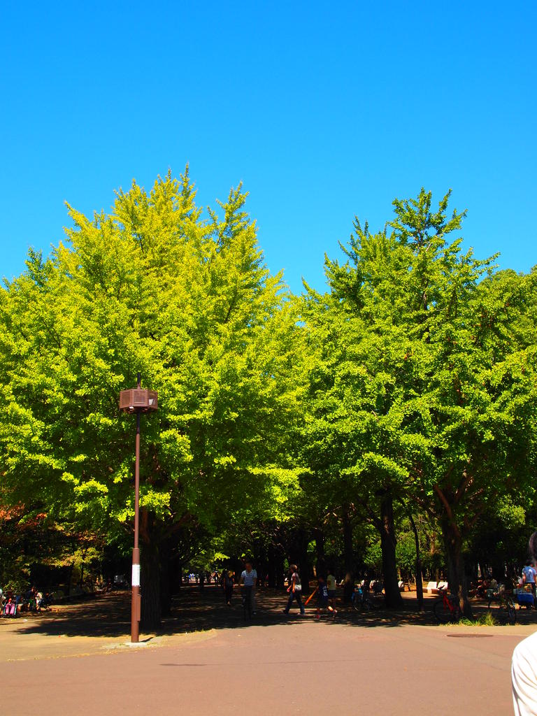 公園での一日③