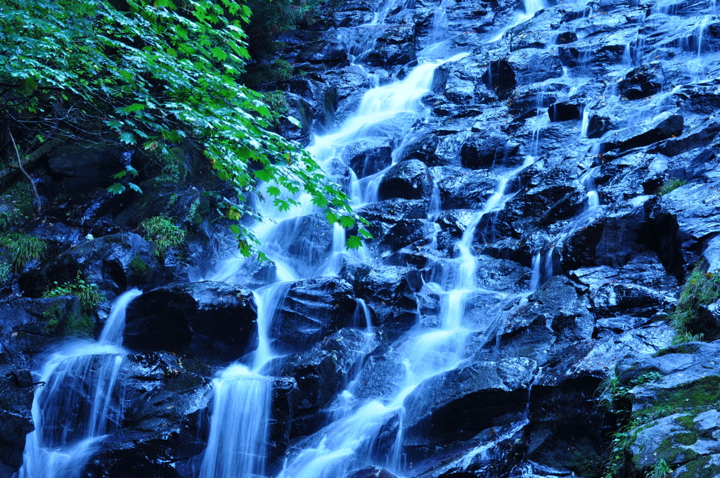 布滝