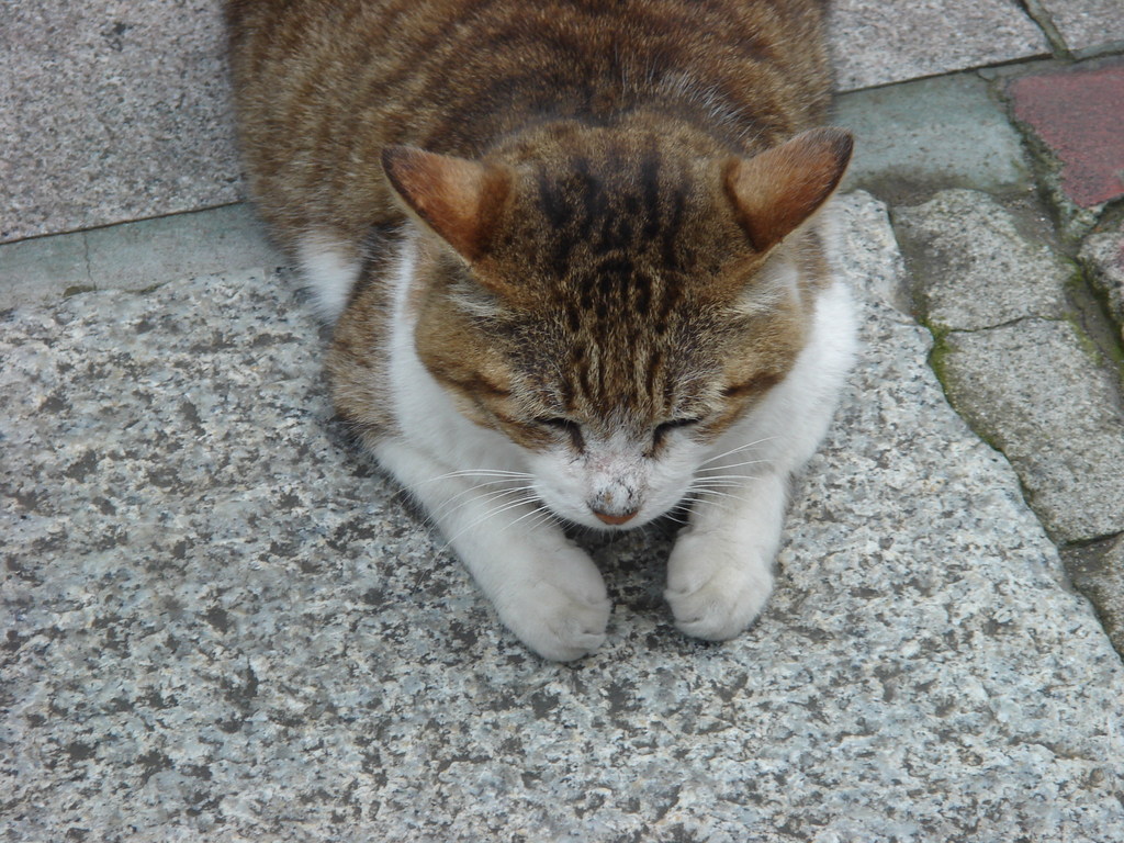 ここがいいの