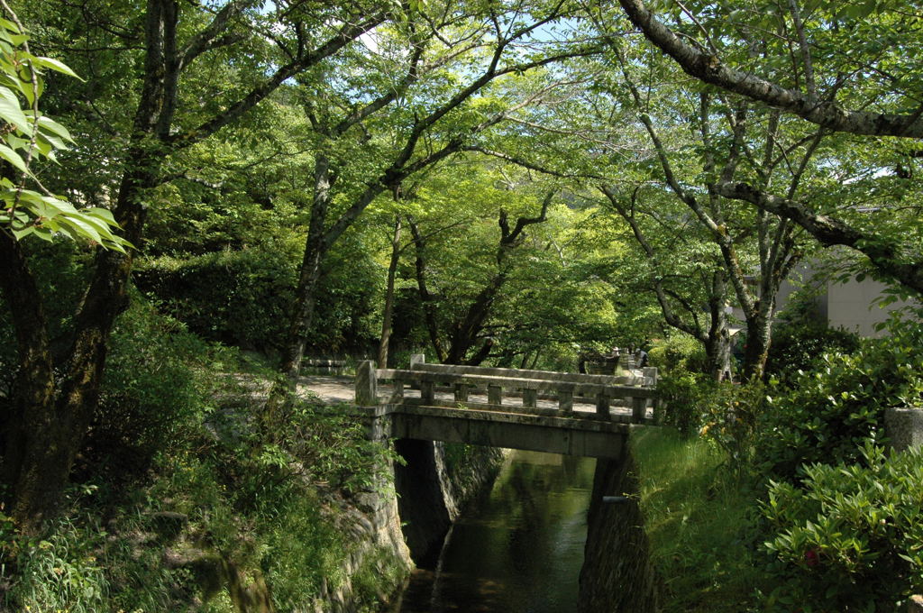 新緑の哲学