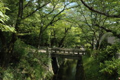 新緑の哲学