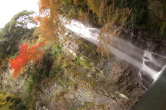 箕面の滝
