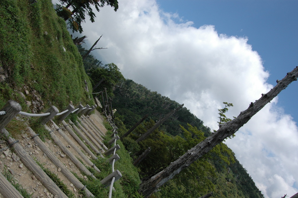 奈良県　大台ケ原