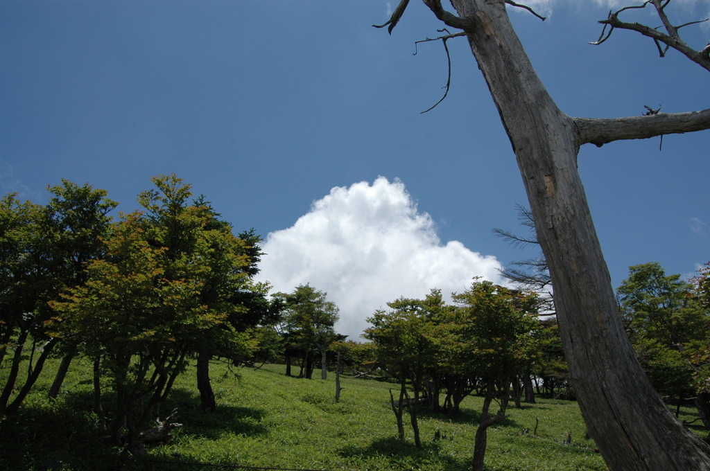 雲が山みたい