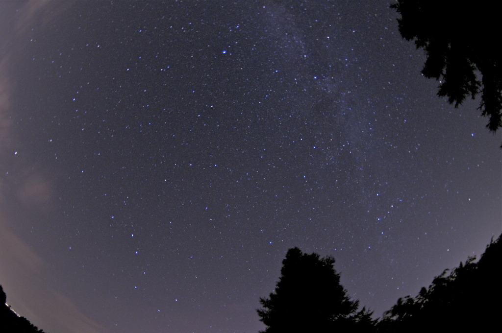 ペルセウス流星群　断念・・・
