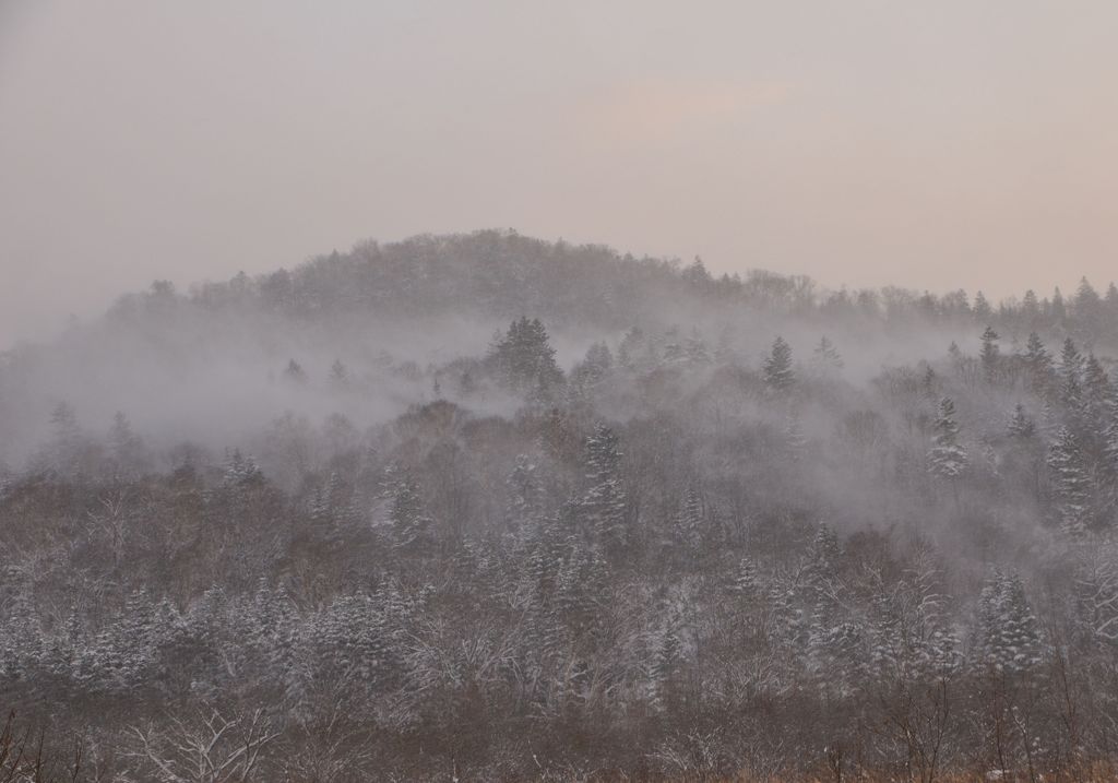 雪・風に舞う