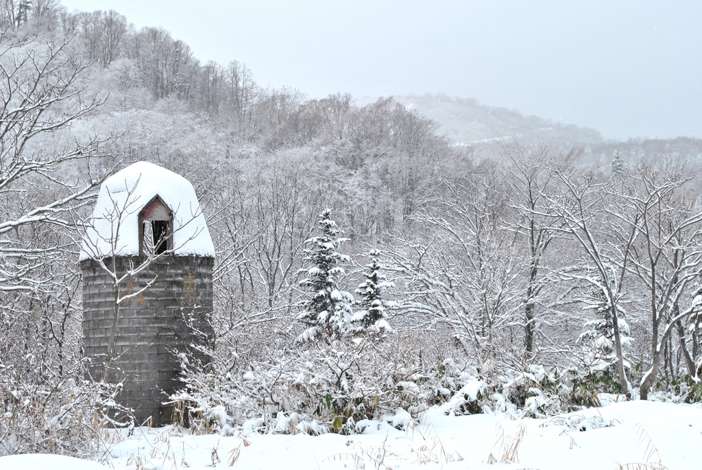 雪景色