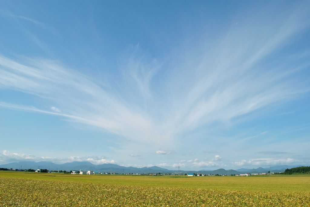 大空