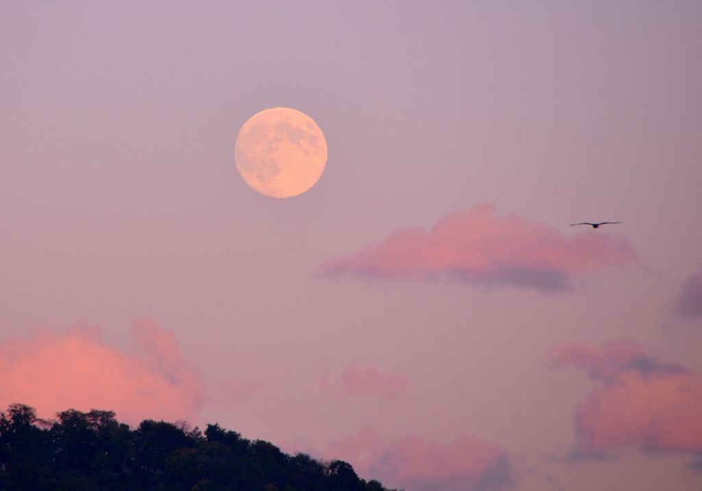 Moon