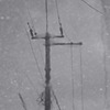 雨降りの中