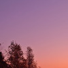夕焼けと月