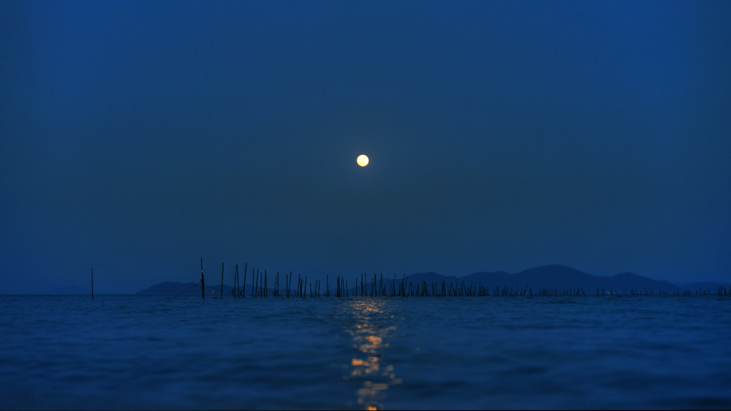 琵琶湖②