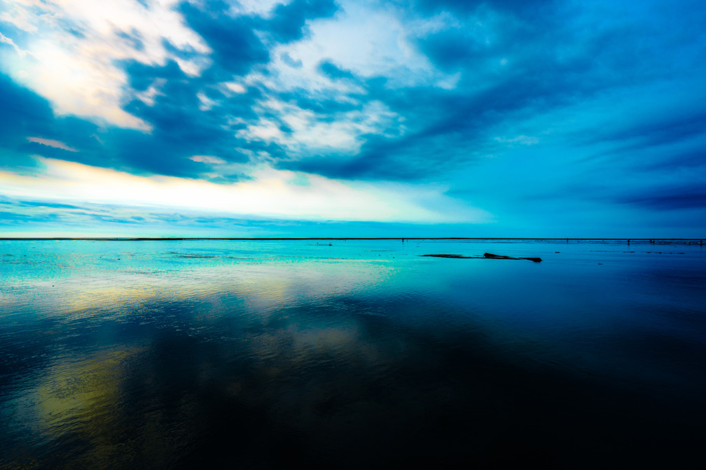 高美湿地④