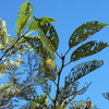 DSCN0062