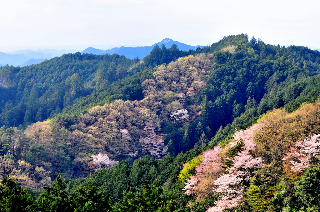 顔振峠