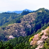 顔振峠