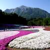 羊山公園と武甲山