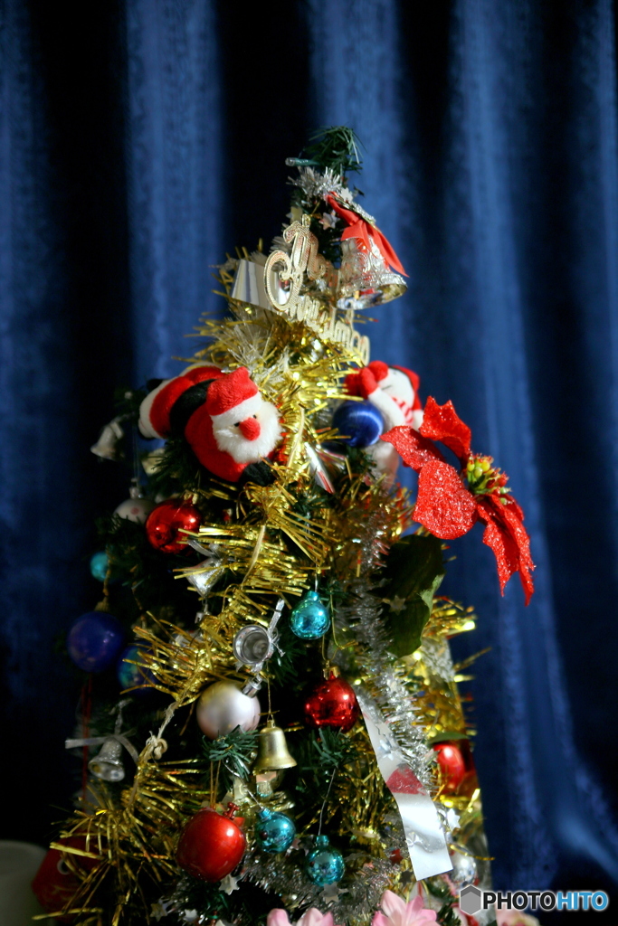 Xmas⑪