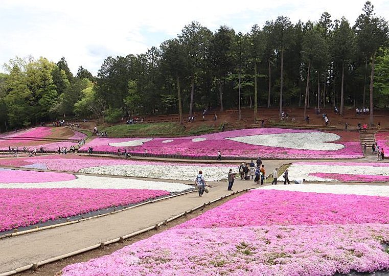 羊山公園