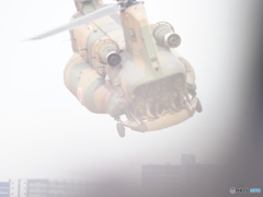 ケロロ軍曹①