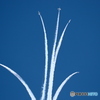 Blue Impuls①