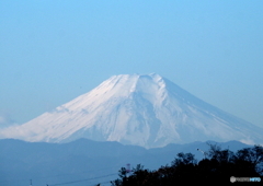 Mt.Fuji