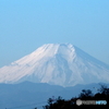Mt.Fuji