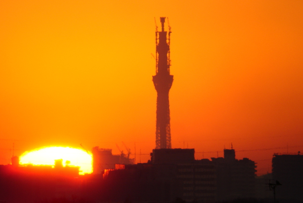 スカイツリーと日の出