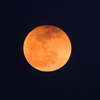 2014  Blood moon