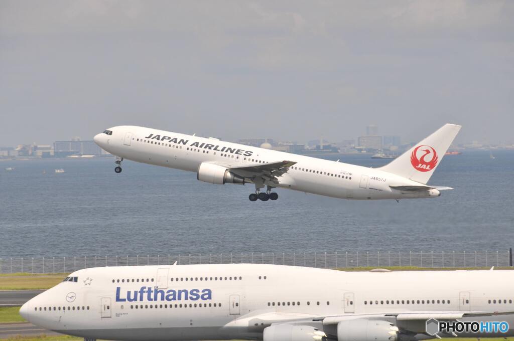 羽田空港1
