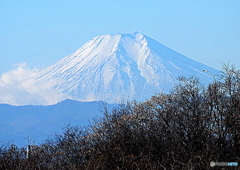 Mt.Fuji