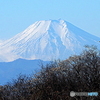 Mt.Fuji