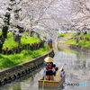 新河岸川