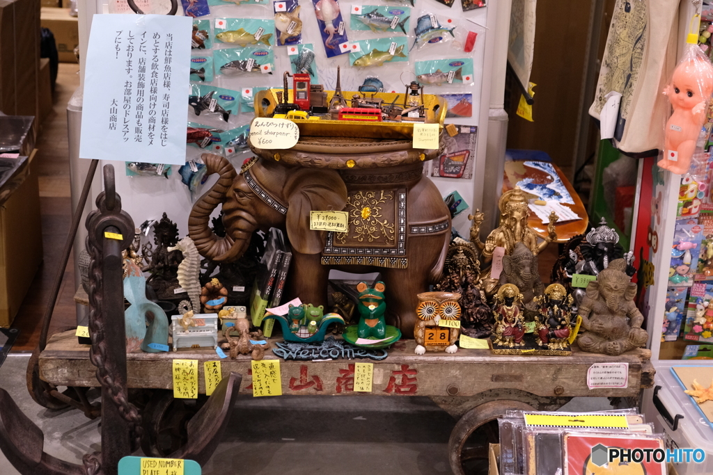 豊洲市場　①