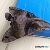STEALTH②