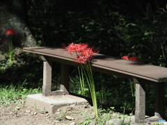 公園のベンチ