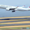 ＪＡＬ