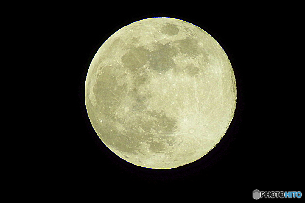 金　Moon