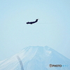 c-1フェニックスFUJI