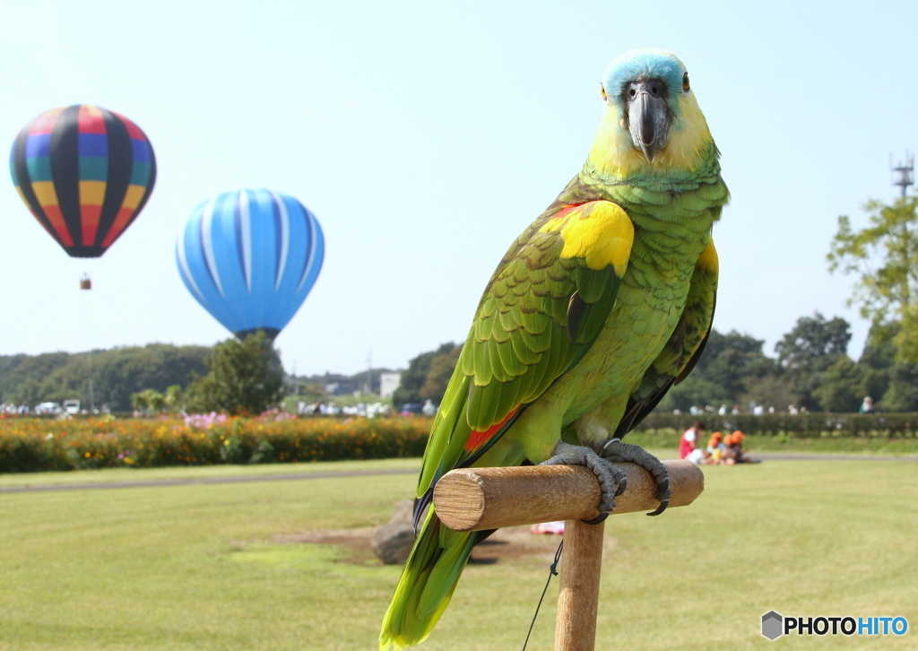 公園で