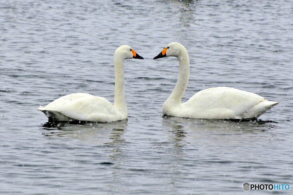 おアツいなか？