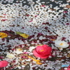Hanaikada