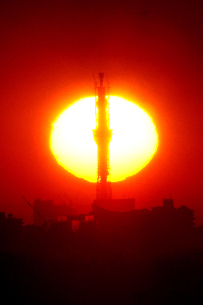 東京スカイツリーと日の出