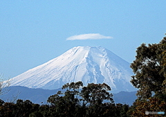 今日の富士山