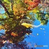 太田黒公園①