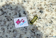 公園の出会い