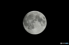 Moon　中秋の名月