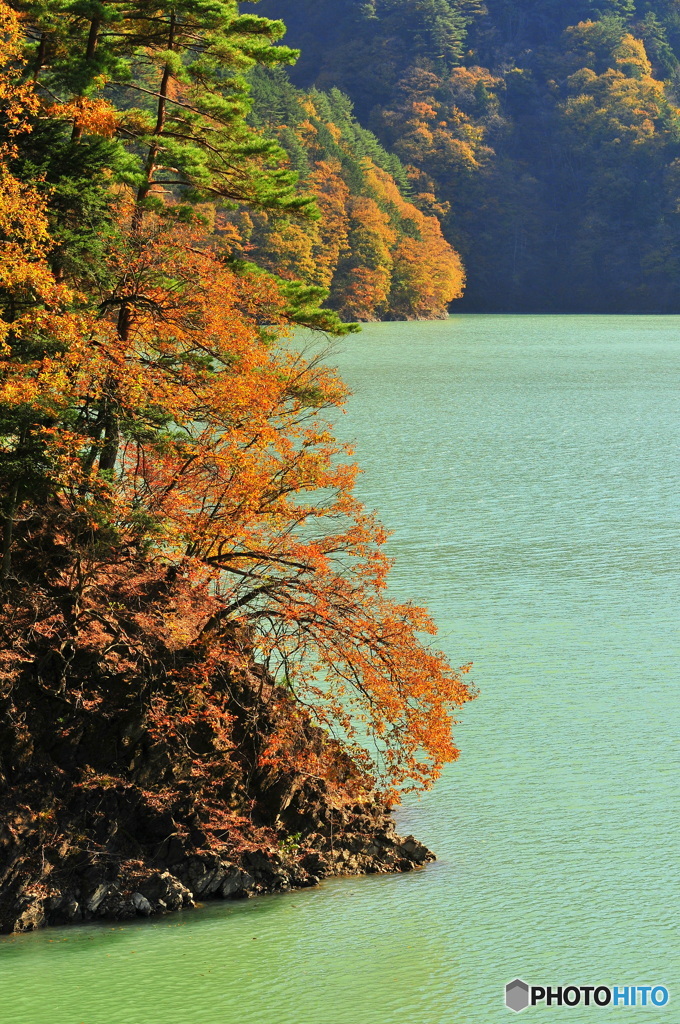 奥多摩湖の紅葉