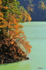 奥多摩湖の紅葉